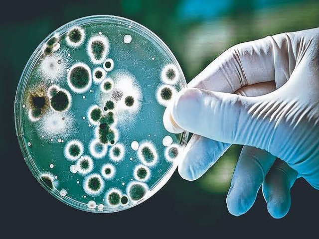 A verdade sobre a resistência antimicrobiana
